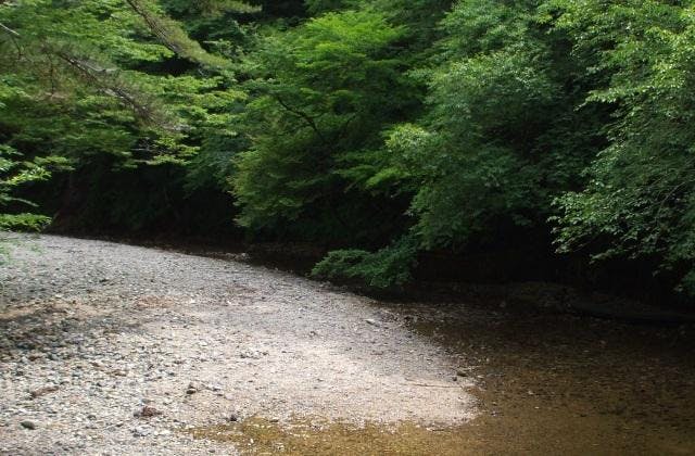 スポットの写真