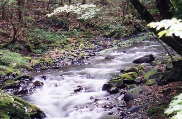 スポットの写真