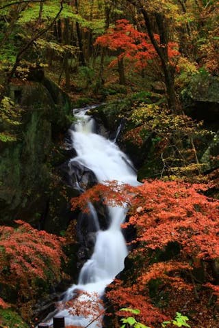 滝川渓谷の紅葉