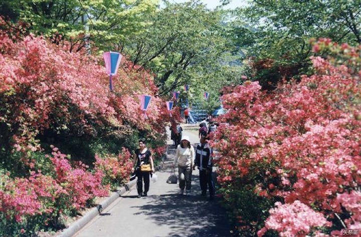 【2021年開催なし】矢祭山花まつり