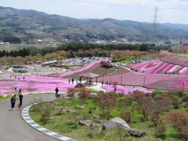ジュピアランドひらた 芝桜まつり