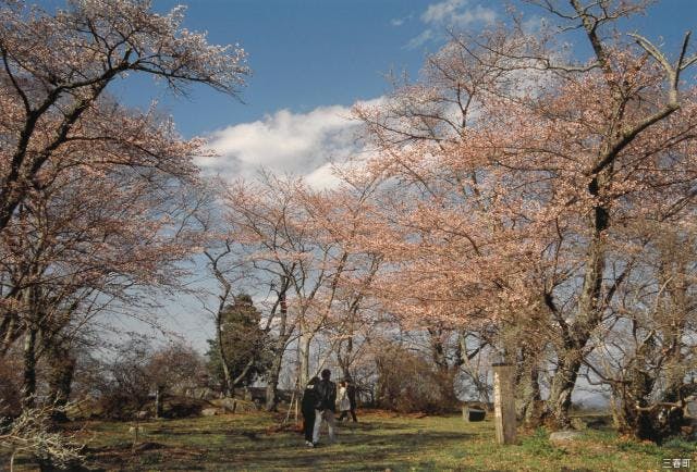 スポットの写真