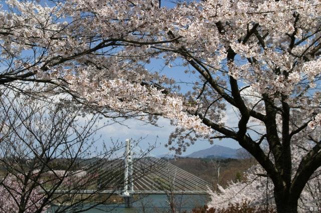 スポットの写真