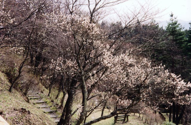 スポットの写真