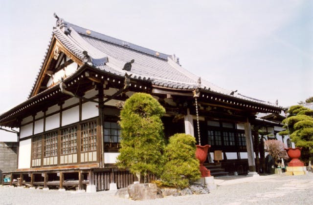 スポットの写真