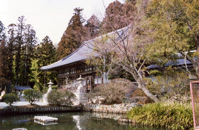 スポットの写真