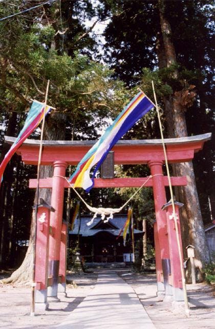 スポットの写真