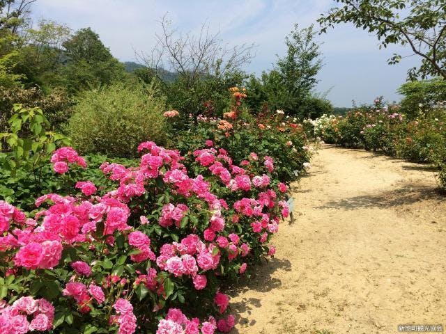 海の見えるガーデン花木山