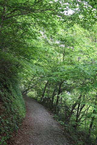 鹿狼山ハイキング