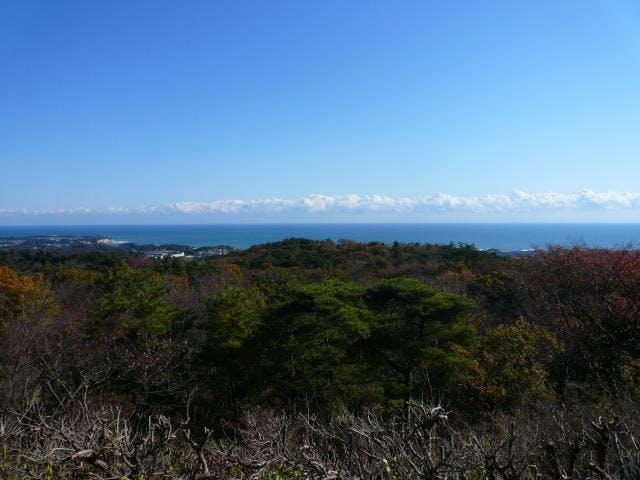 関東 自然 の遊び 体験 アソビュー