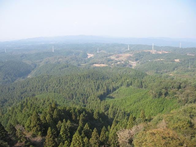 高鈴山ハイキングコース アソビュー