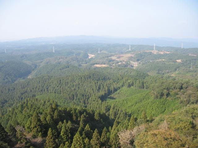高鈴山ハイキングコース アソビュー 高鈴山ハイキングコース アソビュー