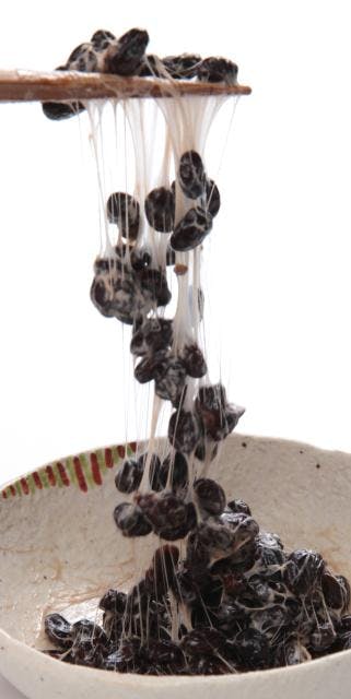 スポットの写真