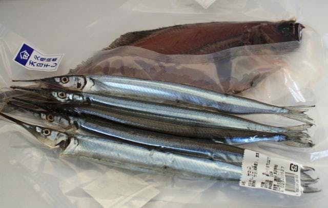 スポットの写真