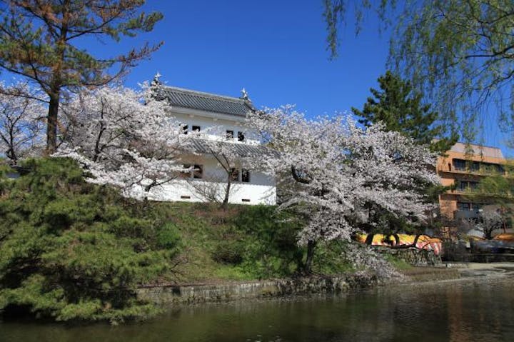 一部イベント中止 土浦桜まつり アソビュー