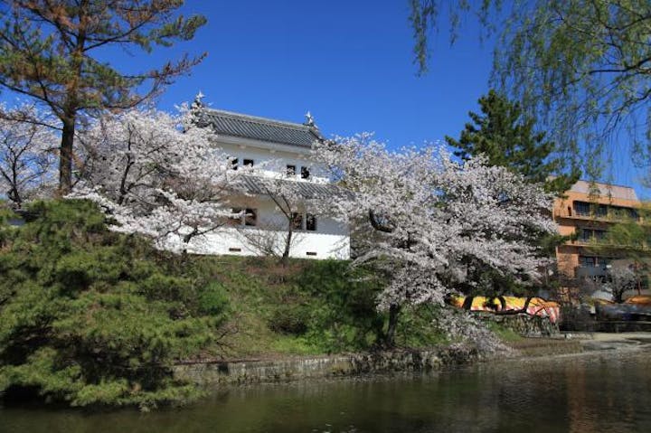 一部イベント中止 土浦桜まつり アソビュー 一部イベント中止 土浦桜まつり アソビュー