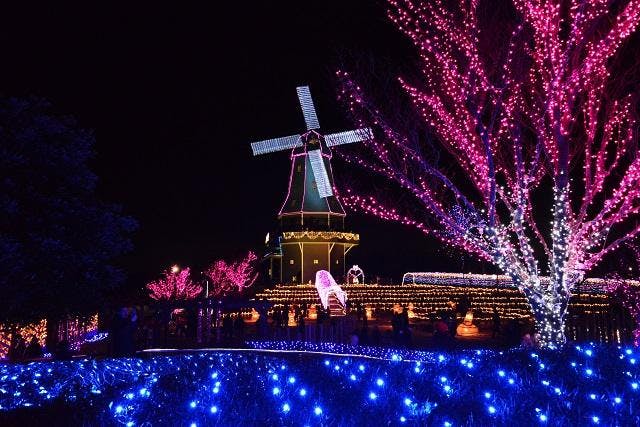 スポットの写真