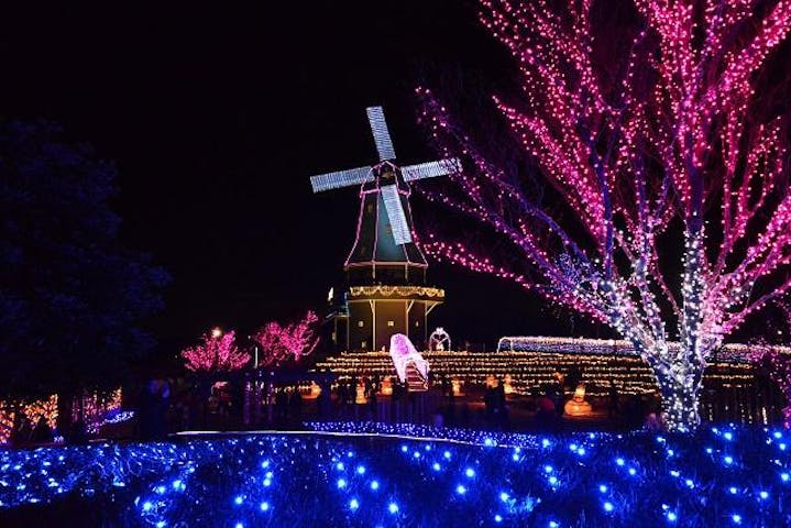 【2021年規模縮小】第10回　光がつくる”Art”水郷桜イルミネーション