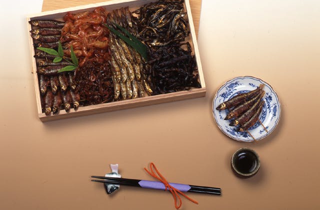 スポットの写真