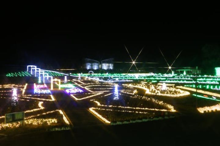 【2020年度中止】茨城県フラワーパーク　イルミネーション