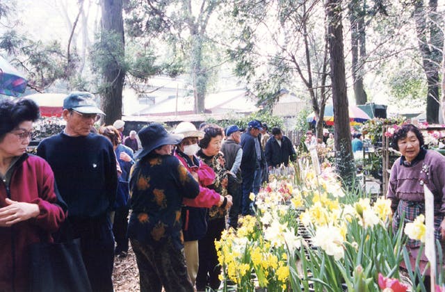 スポットの写真