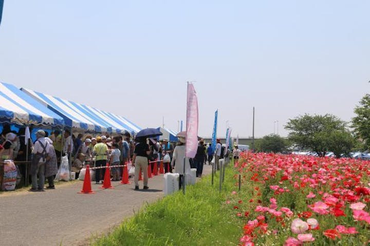 【2020年開催中止】花とふれあいまつり