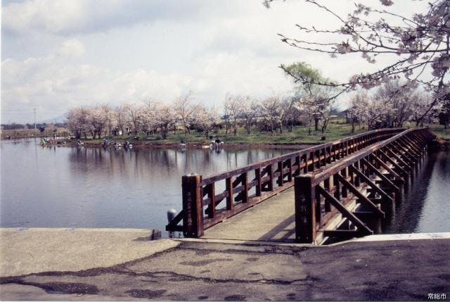 スポットの写真