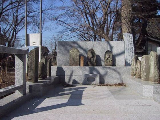 スポットの写真