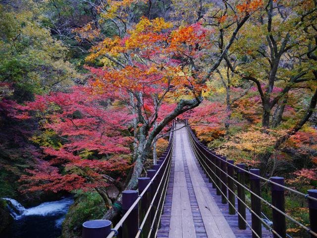 花貫渓谷の紅葉