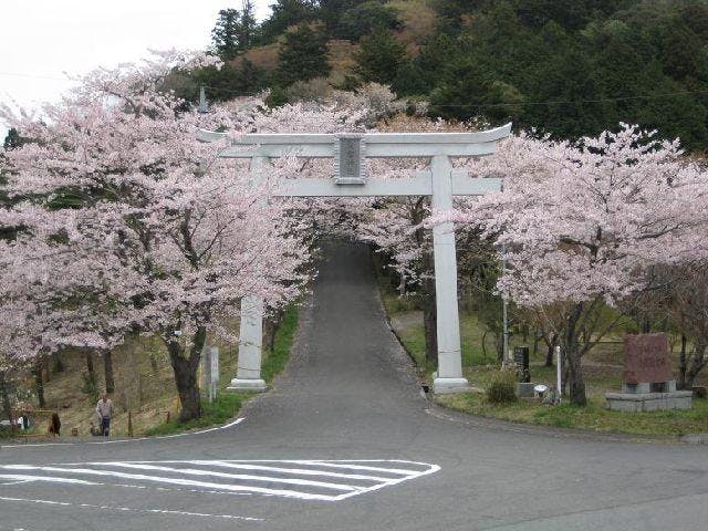 あたご山桜まつり