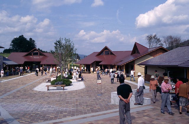 スポットの写真