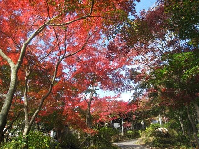 スポットの写真