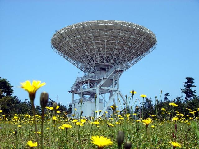 スポットの写真