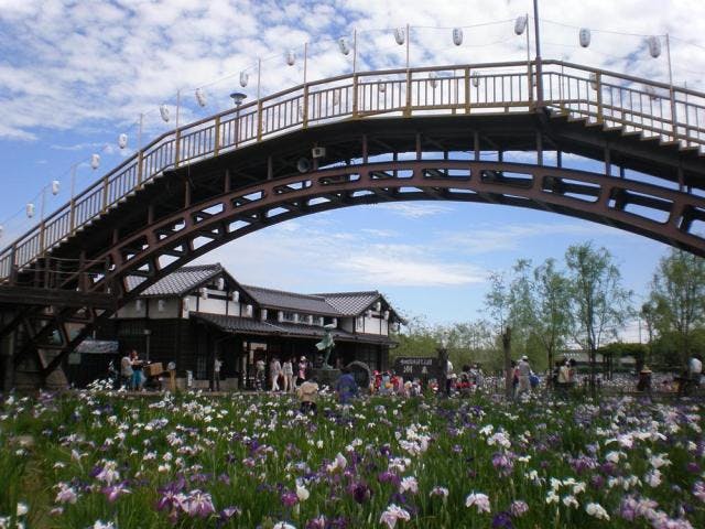 水郷潮来あやめまつり大会