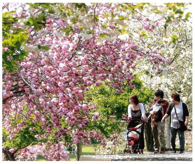 スポットの写真