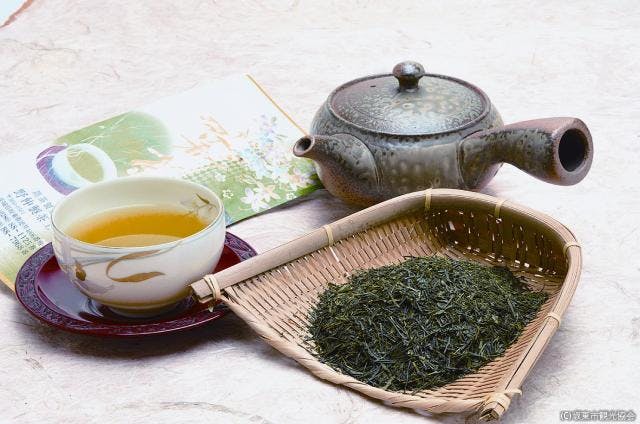 スポットの写真