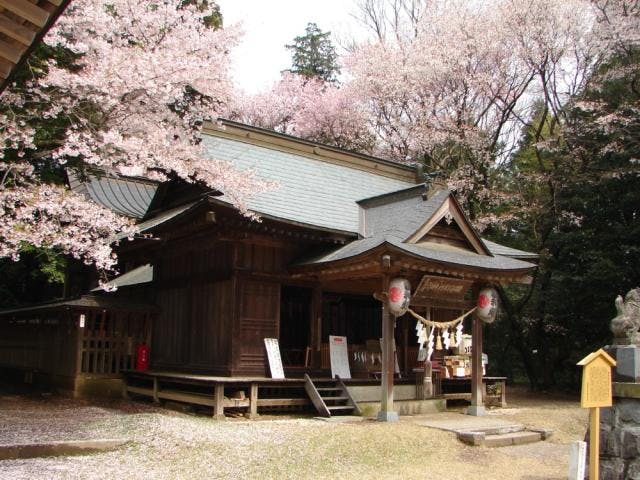 【2021年開催中止】桜川の桜まつり
