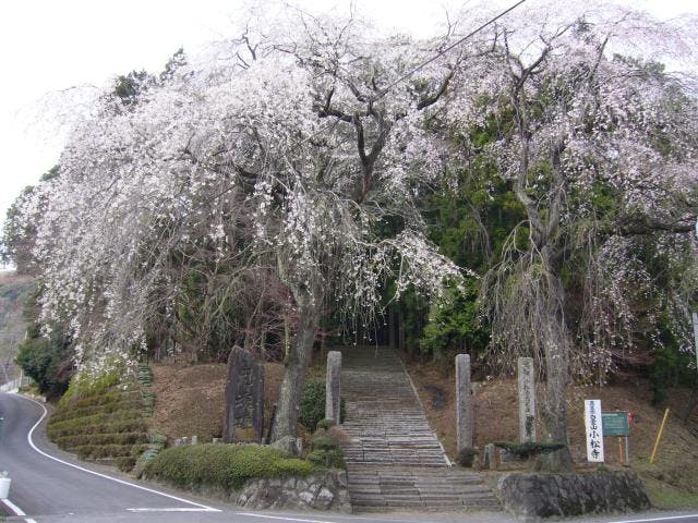 小松寺