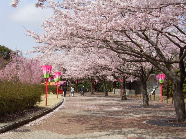 東海さくらまつり