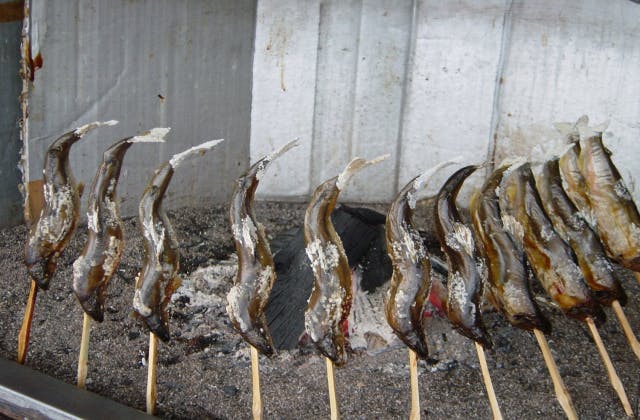 スポットの写真