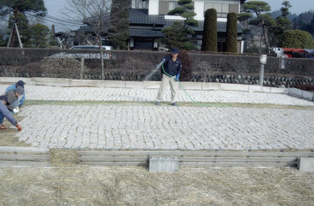 スポットの写真