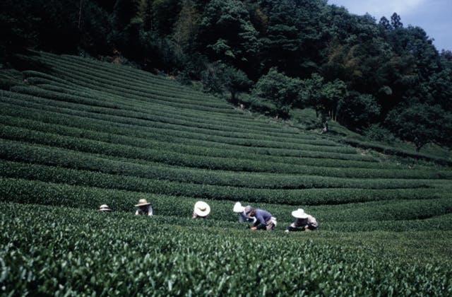 スポットの写真