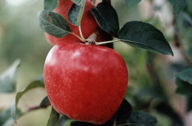 スポットの写真