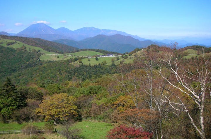 横根山