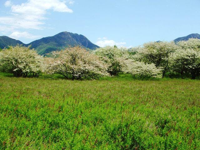 戦場ヶ原 戦場ヶ原【アソビュー！】