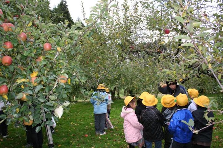 矢板市観光りんご園
