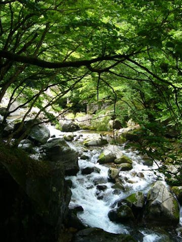 木の俣渓谷