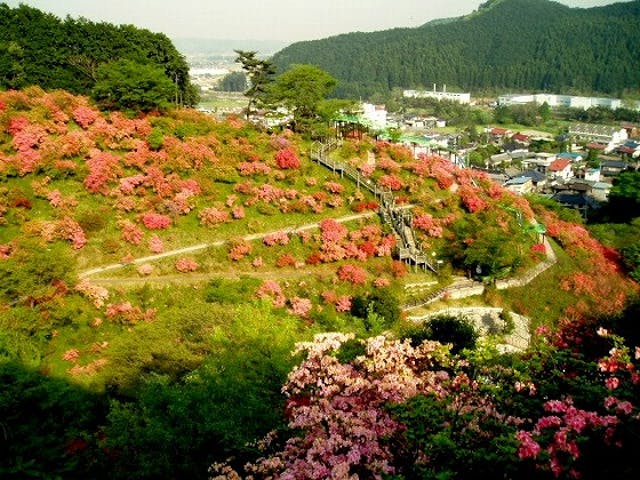 【2021年中止】城山つつじまつり