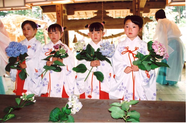 【終了】あじさい祭り