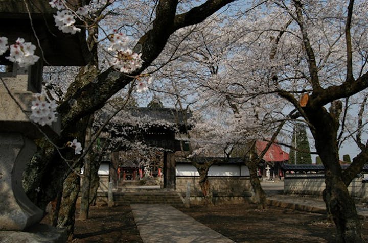 崇真寺（犬切不動尊）